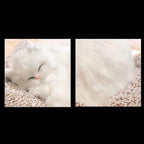 Sleeping Cute Cat for Car Dashboard and Home Decor with Activated Carbon