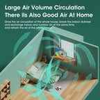 Multicolor Desk Fan with LED Lights