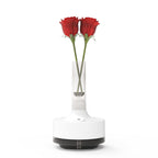 Time Vase Humidifier