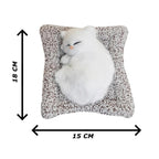 Sleeping Cute Cat for Car Dashboard and Home Decor with Activated Carbon